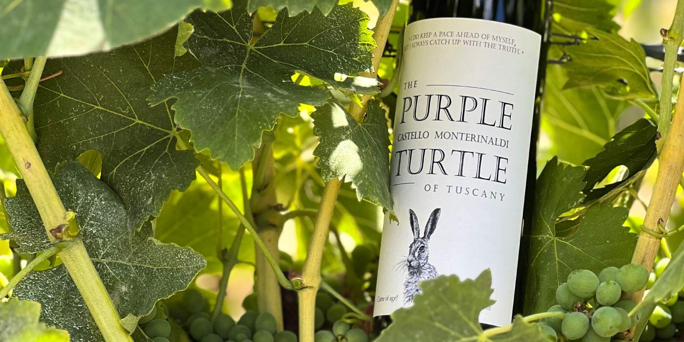 Bottiglia Purple Turtle e vigneto